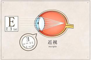 半岛综合体育app在线观看视频截图1